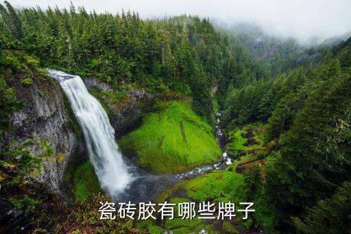  瓷砖胶有哪些牌子