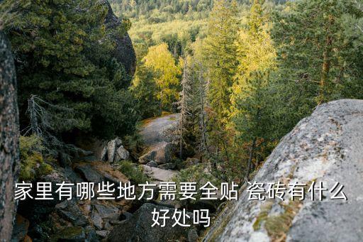 家里有哪些地方需要全贴 瓷砖有什么好处吗
