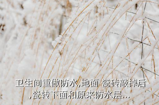 卫生间瓷砖拆除留下的水泥,贴卫生间瓷砖用水泥还是用瓷砖胶好