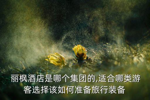  丽枫酒店是哪个集团的,适合哪类游客选择该如何准备旅行装备