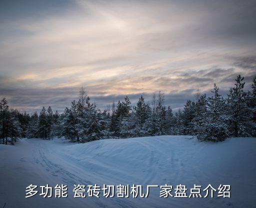 多功能 瓷砖切割机厂家盘点介绍