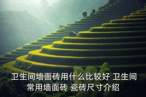  卫生间墙面砖用什么比较好 卫生间常用墙面砖 瓷砖尺寸介绍