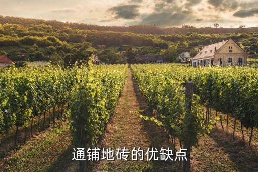  通铺地砖的优缺点