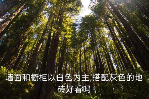 墙面和橱柜以白色为主,搭配灰色的地砖好看吗