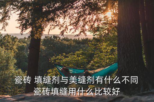  瓷砖 填缝剂与美缝剂有什么不同 瓷砖填缝用什么比较好