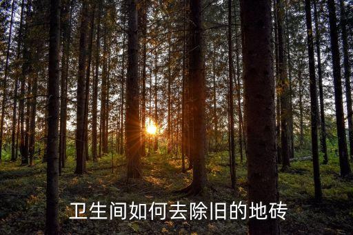  卫生间如何去除旧的地砖