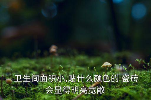  卫生间面积小,贴什么颜色的 瓷砖会显得明亮宽敞