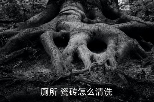 厕所 瓷砖怎么清洗
