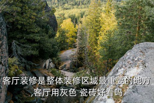 客厅装修是整体装修区域最重要的地方,客厅用灰色 瓷砖好看吗
