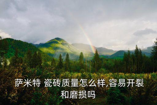  萨米特 瓷砖质量怎么样,容易开裂和磨损吗