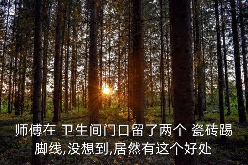 师傅在 卫生间门口留了两个 瓷砖踢脚线,没想到,居然有这个好处