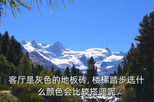 客厅是灰色的地板砖, 楼梯踏步选什么颜色会比较搭调呢