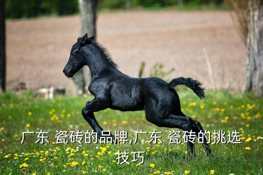 广东 瓷砖的品牌,广东 瓷砖的挑选技巧