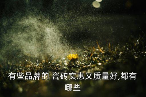 尊龙卫浴瓷砖品牌推荐图片