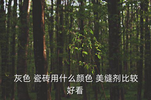  灰色 瓷砖用什么颜色 美缝剂比较好看