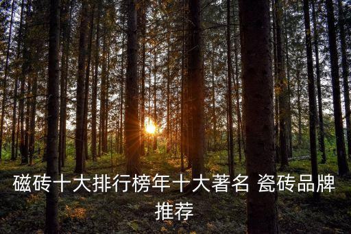 陶瓷负离子瓷砖品牌,特地负离子瓷砖是不是10大品牌