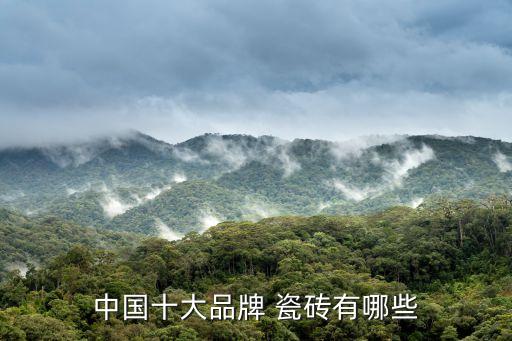 中国十大品牌 瓷砖有哪些