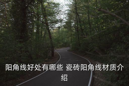 墙上瓷砖收口条效果图,瓷砖不锈钢收口条效果图