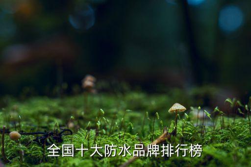 全国十大防水品牌排行榜