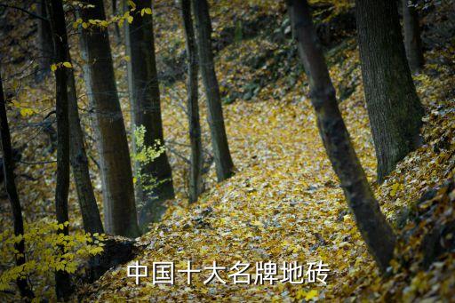 新中源瓷砖品牌介绍图片