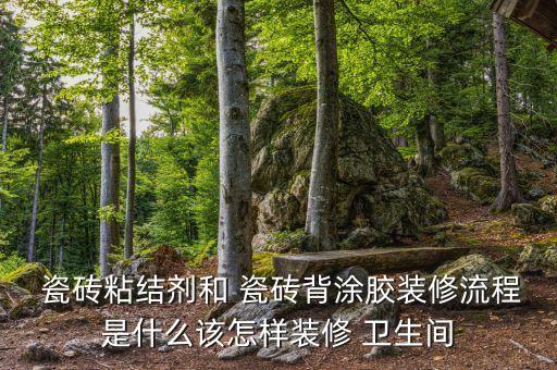  瓷砖粘结剂和 瓷砖背涂胶装修流程是什么该怎样装修 卫生间