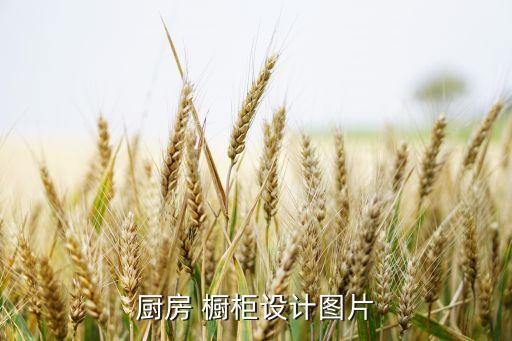 厨房 橱柜设计图片