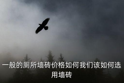 一般的厕所墙砖价格如何我们该如何选用墙砖