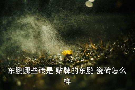 东鹏哪些砖是 贴牌的东鹏 瓷砖怎么样