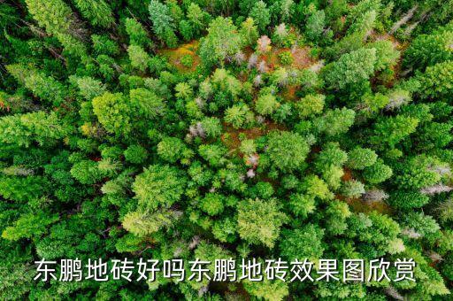 东鹏地砖好吗东鹏地砖效果图欣赏