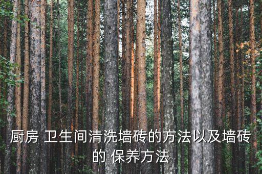 如何保养卫生间瓷砖,卫生间用什么颜色的瓷砖效果好