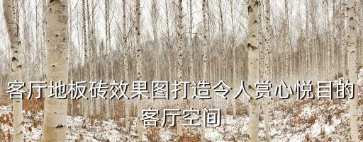客厅地板砖效果图打造令人赏心悦目的客厅空间
