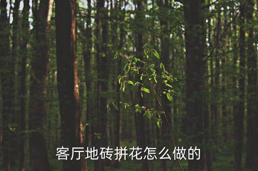 客厅地砖拼花怎么做的