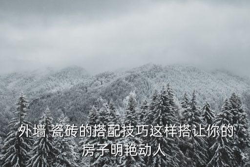  外墙 瓷砖的搭配技巧这样搭让你的房子明艳动人