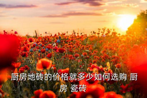  厨房地砖的价格就多少如何选购 厨房 瓷砖