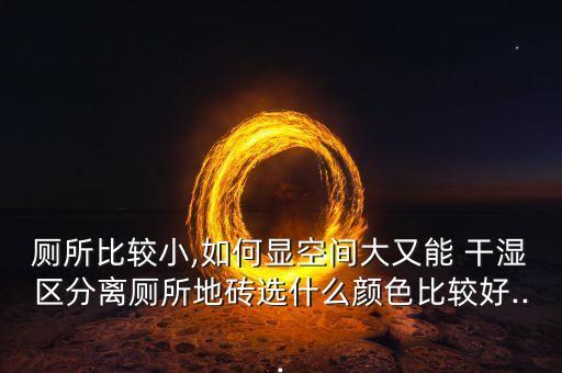 厕所比较小,如何显空间大又能 干湿区分离厕所地砖选什么颜色比较好...