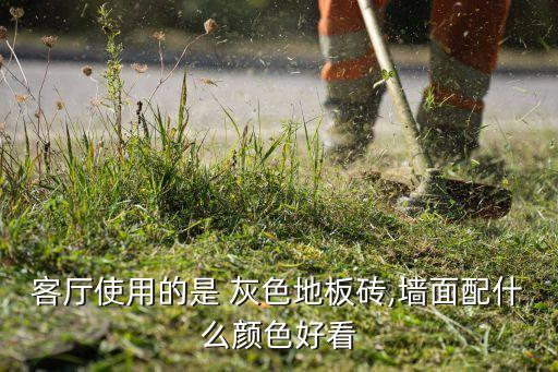 客厅使用的是 灰色地板砖,墙面配什么颜色好看