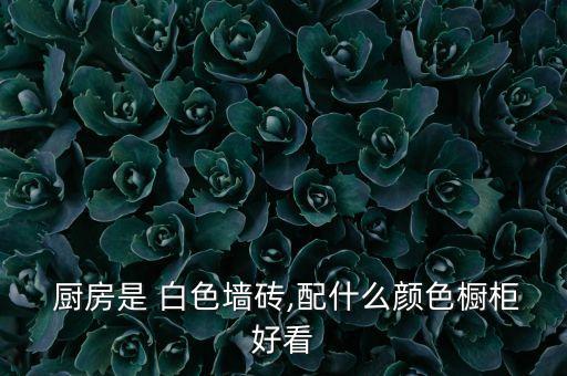 粉白色瓷砖厨房效果图,厨房400x800瓷砖效果图