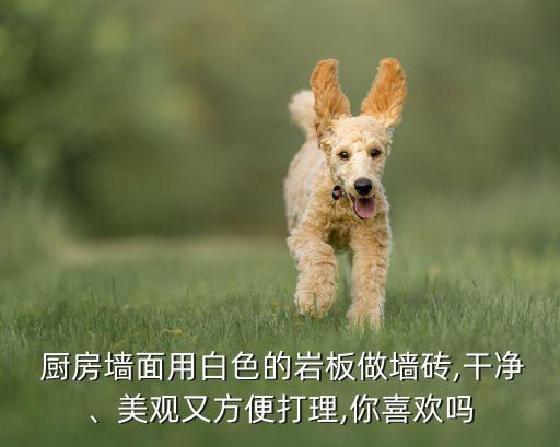  厨房墙面用白色的岩板做墙砖,干净、美观又方便打理,你喜欢吗
