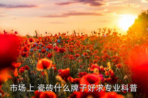 瓷砖品牌欢迎咨询,瓷砖排名前50的品牌有哪些