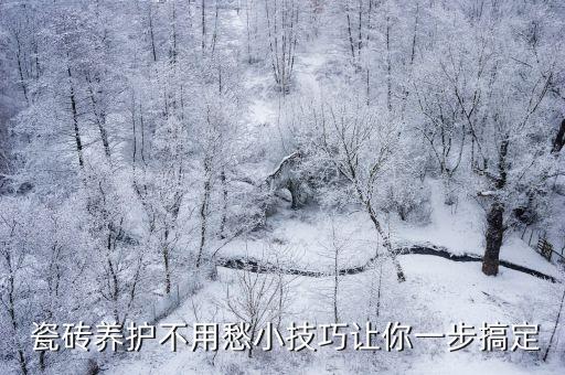  瓷砖养护不用愁小技巧让你一步搞定