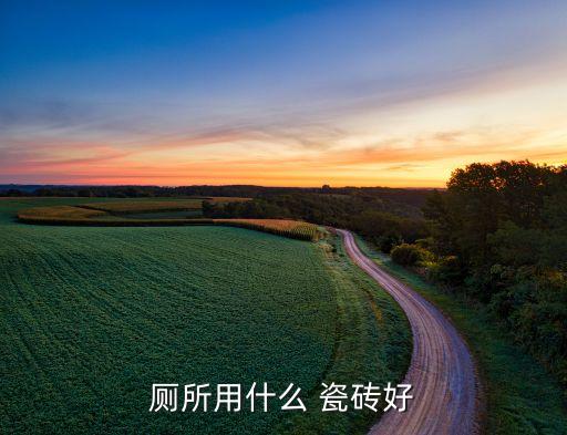 厕所用什么 瓷砖好