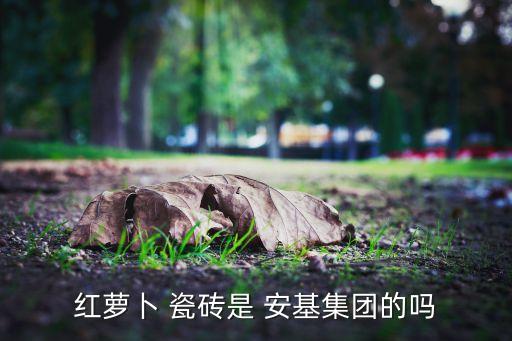 红萝卜 瓷砖是 安基集团的吗