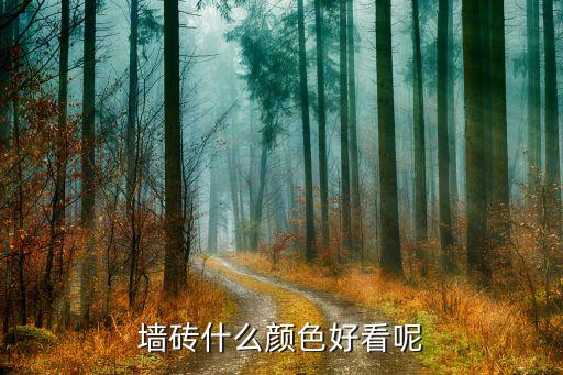 墙砖什么颜色好看呢