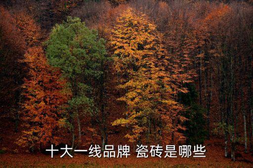 纯美瓷砖算几线品牌