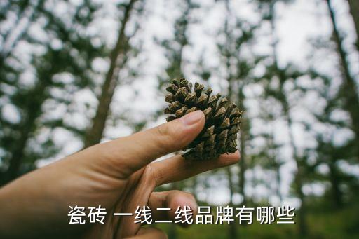帕达纳瓷砖算一线品牌吗