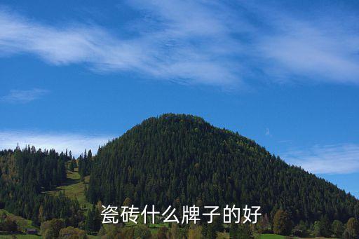  瓷砖什么牌子的好