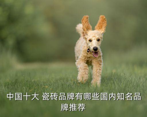 中国十大 瓷砖品牌有哪些国内知名品牌推荐