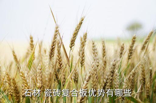 桐乡通体花岗岩瓷砖效果图,环球花岗岩通体瓷砖