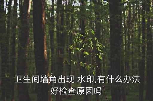  卫生间墙角出现 水印,有什么办法好检查原因吗