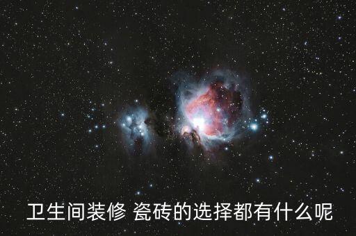  卫生间装修 瓷砖的选择都有什么呢